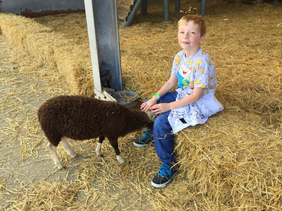 A Day Out At Greenlands Farm Village