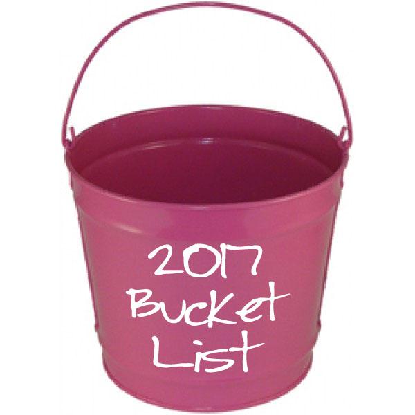 My 2017 Bucket List 