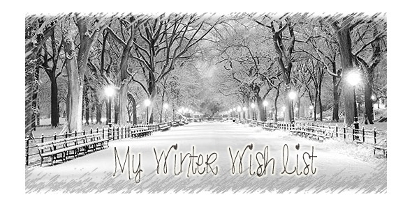 My Winter Wish List