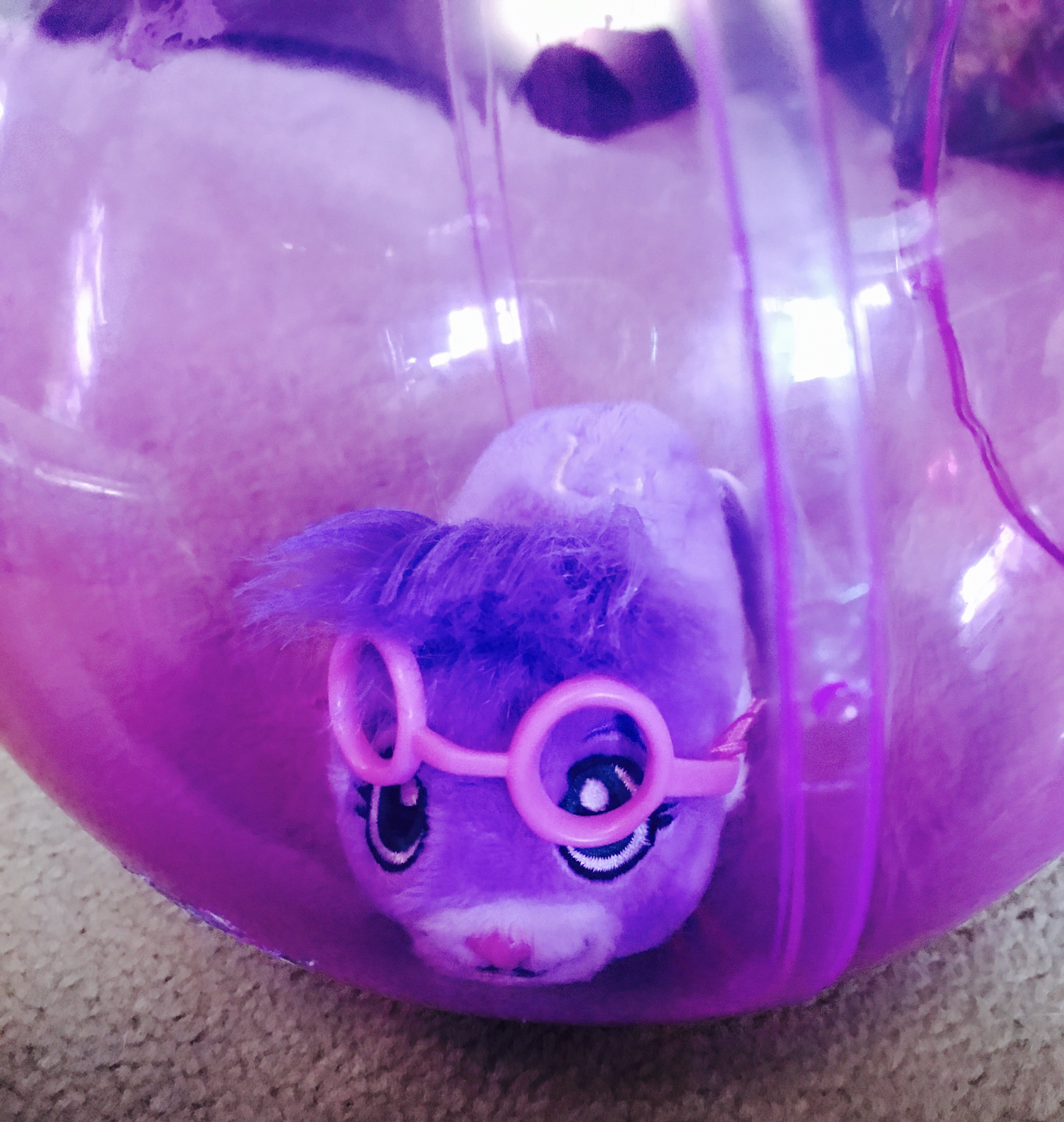 The Fast & The Furry - Zhu Zhu Pets & Accessories Review