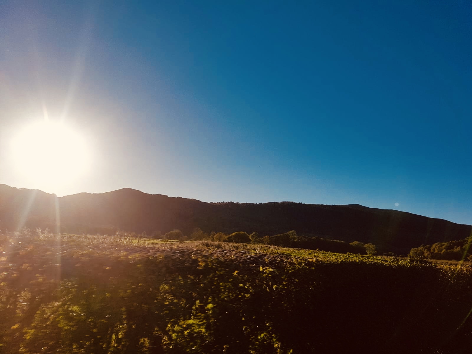 #MySundayPhoto - Sublimely Sun Blind