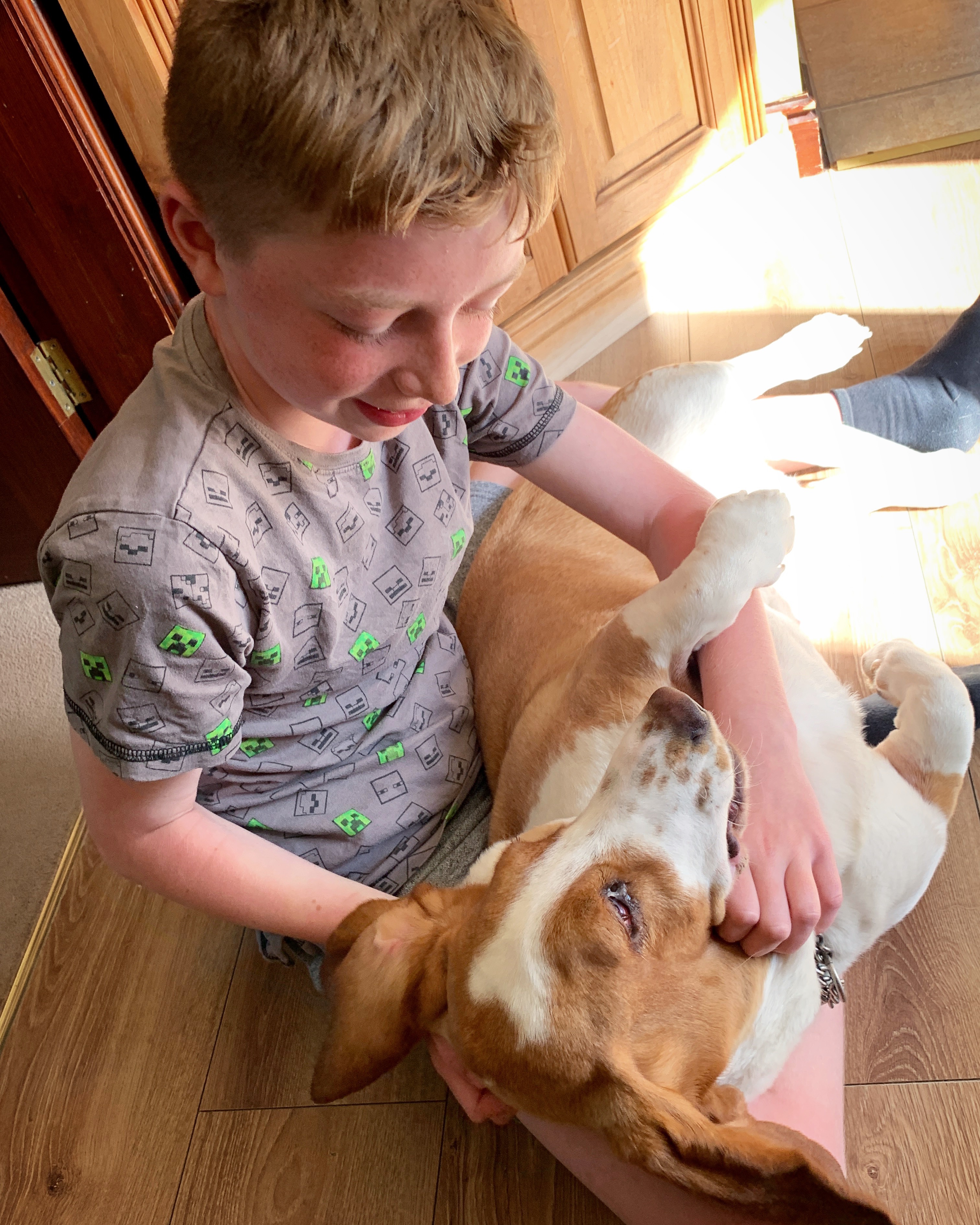 #LivingArrows - The Little Things 27/52 (2019) #LivingArrows - The Little Things 27/52 (2019)