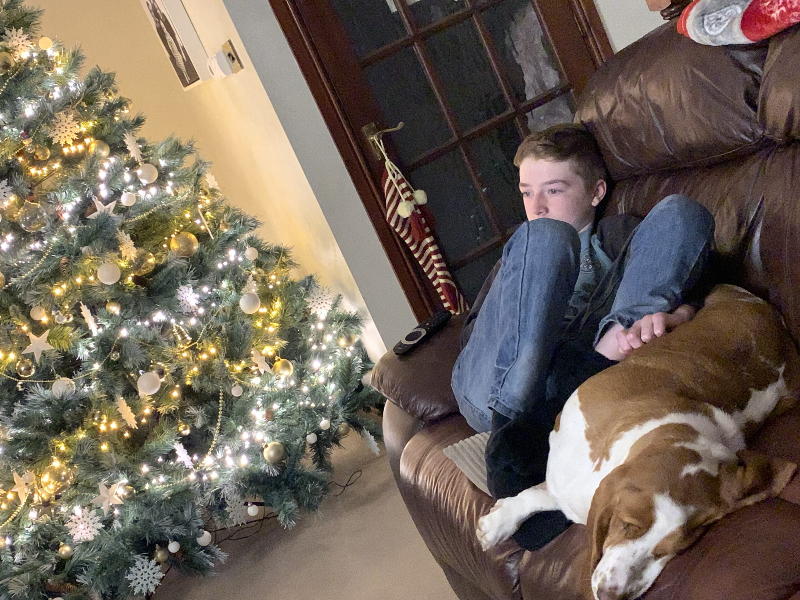 #LivingArrows - Cooking & Convalescing 49/52 (2020)