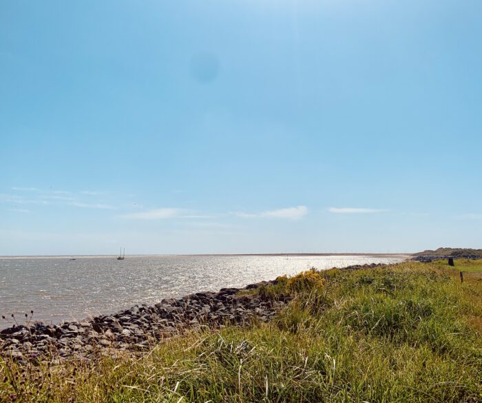 #MySundaySnapshot - Back To The Beach 33/52 (2021)