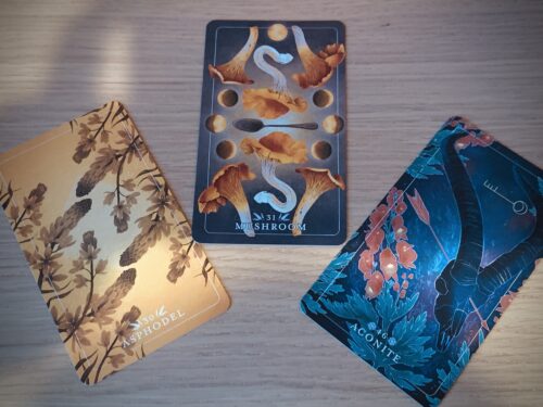 Dawn & Dusk Divination with The Seed & Sickle Oracle Deck