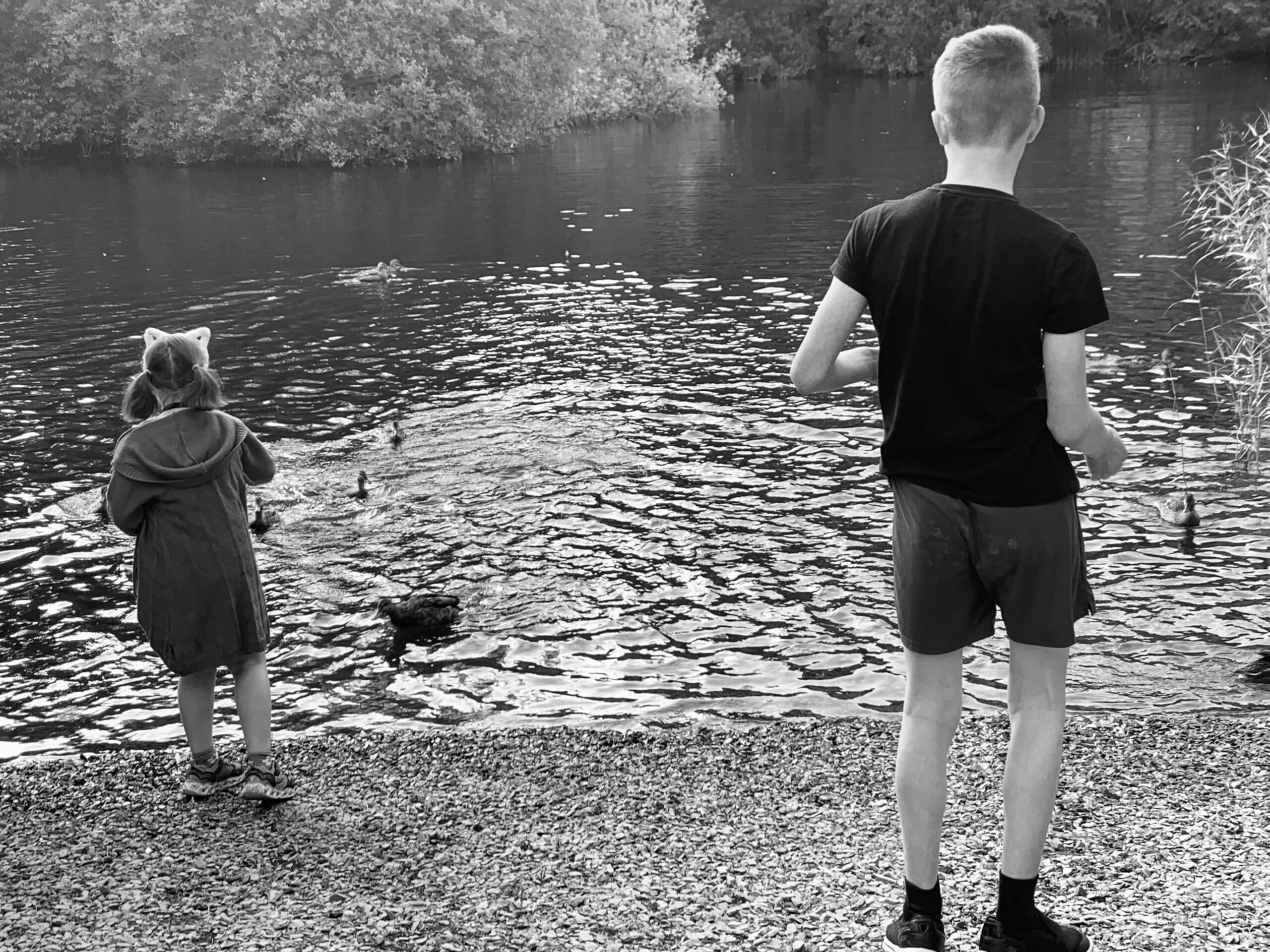 The Siblings Project - October 2021