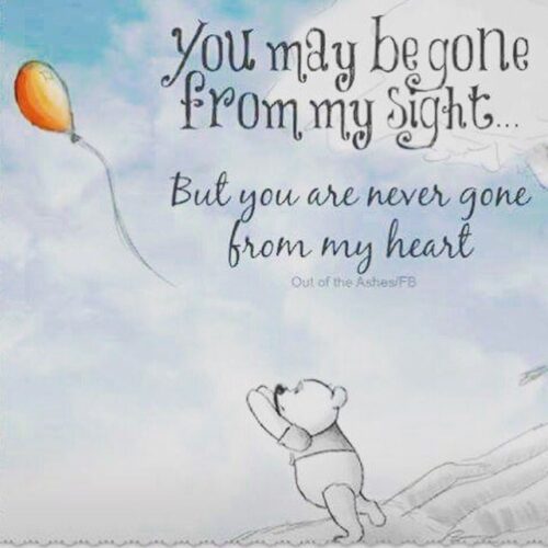 #LittleLoves - November 2021