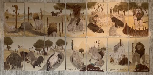Reading With The Returning of the Panthera Tarot
