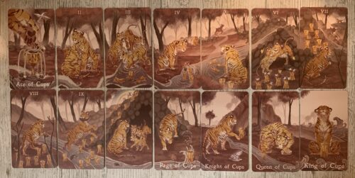 Reading With The Returning of the Panthera Tarot
