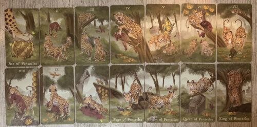 Reading With The Returning of the Panthera Tarot