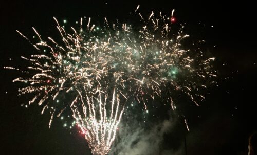 #LittleLoves - November 2021