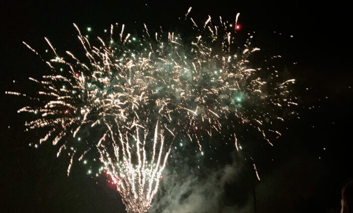 #MySundaySnapshot - Firework Frenzy 45/52 (2021)