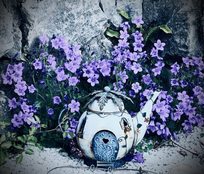 #MySundaySnapshot - The Perfect Purple Place 22/52 (2022)