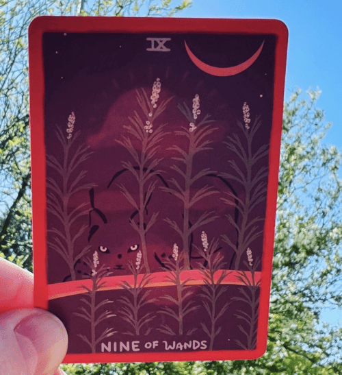 reading with the gentle tarot The Perfect Pocket Deck - The Gentle Tarot Pocket Edition