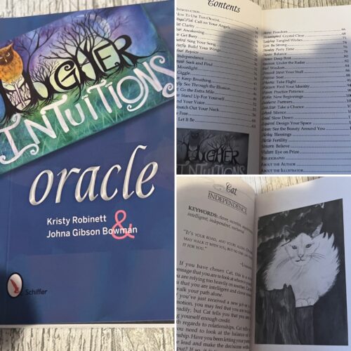 Reading & Reviewing The Higher Intuitions Oracle