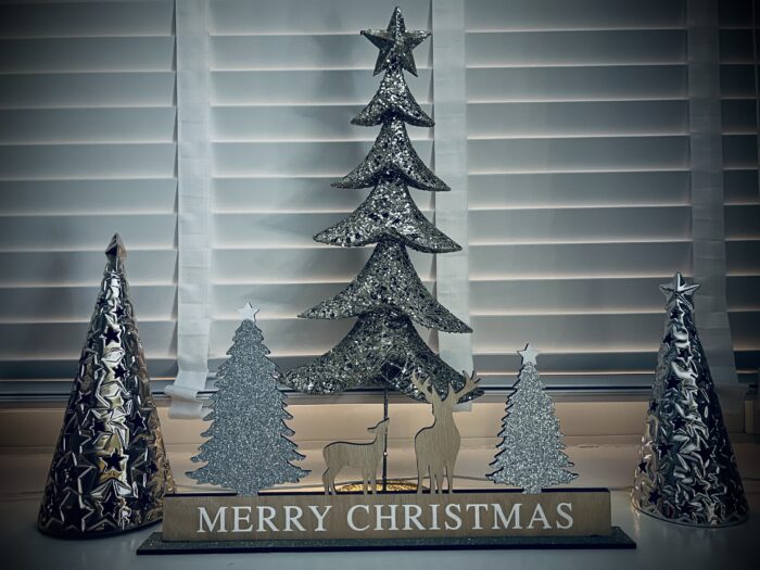 #MySundaySnapshot - So This Is Christmas 50/52 (2022)