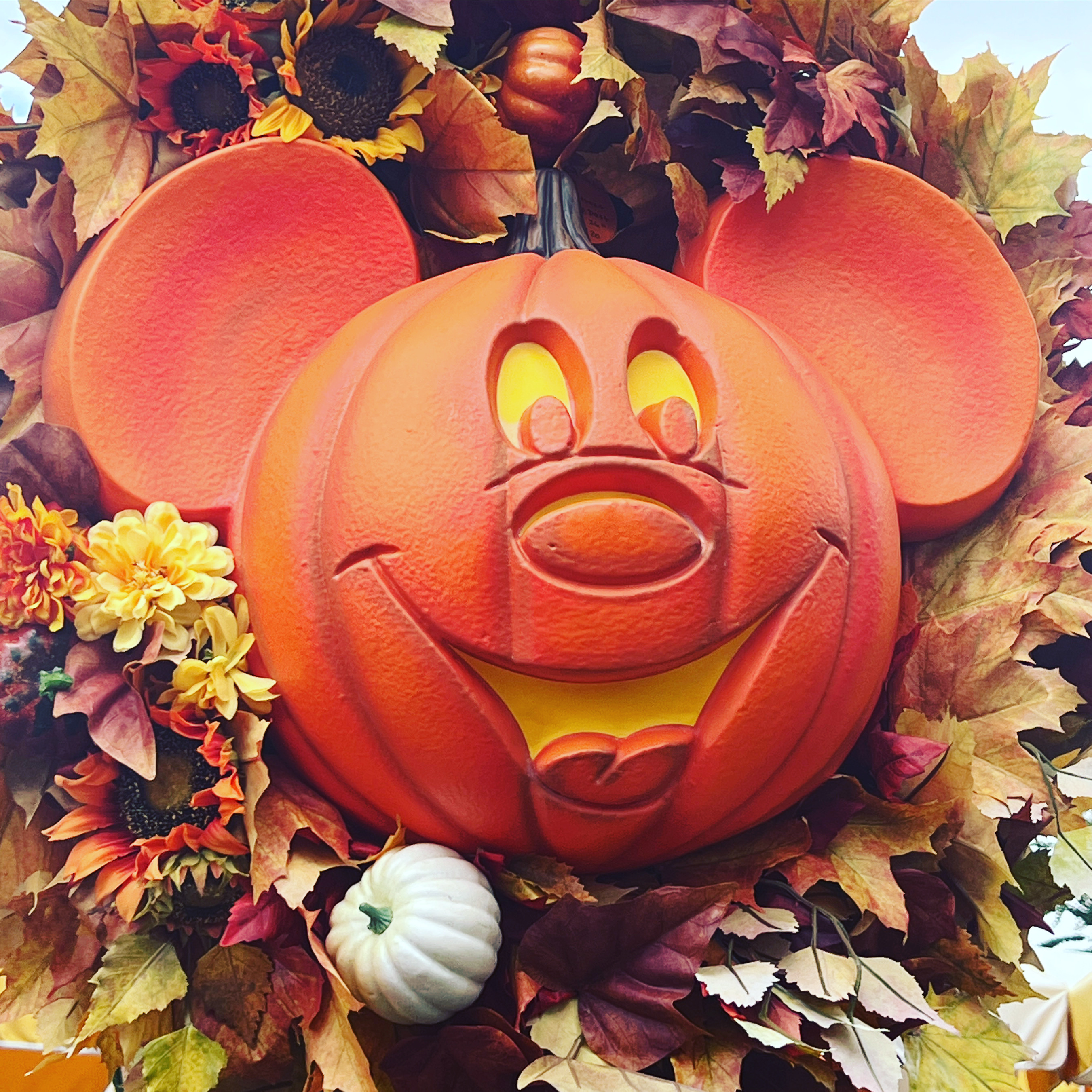 #MySundaySnapshot - Autumn Has Arrived 38/53 (2023)