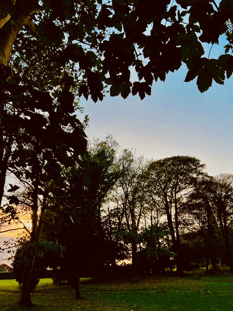 #MySundaySnapshot - Autumn Evenings 42/53 (2023)