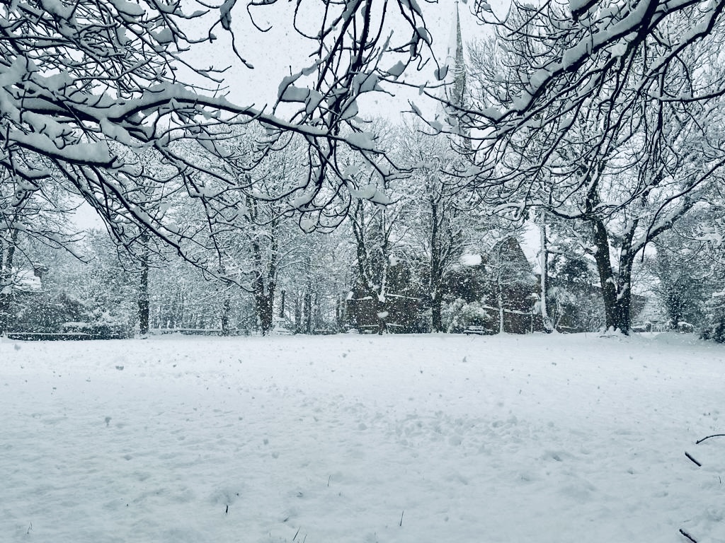 #MySundaySnapshot - Snow Way 50/53 (2023)