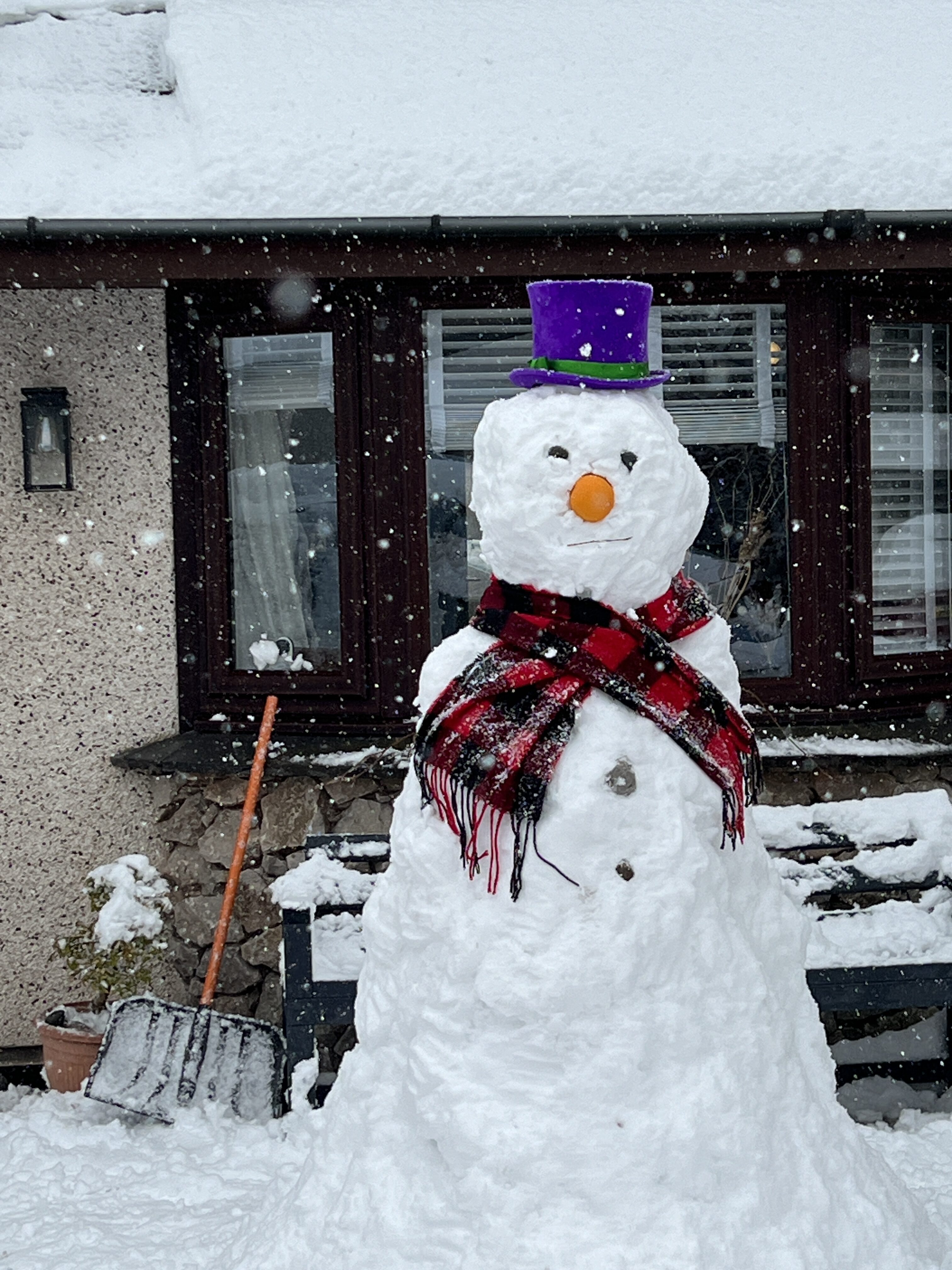 #MySundaySnapshot - Snow Day 49/53 (2023)