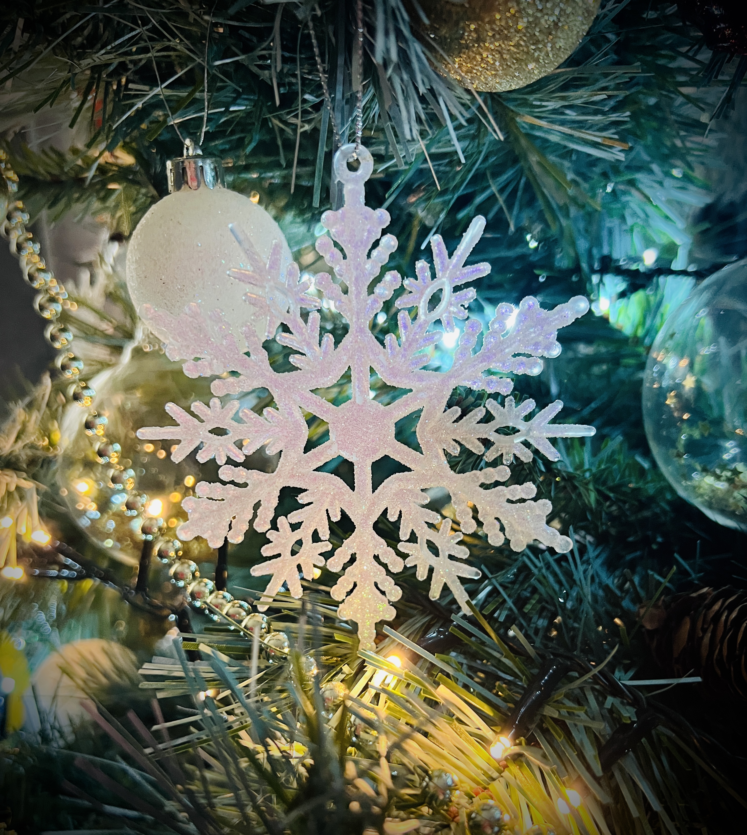 #MySundaySnapshot - Merry Christmas 52/53 (2023)