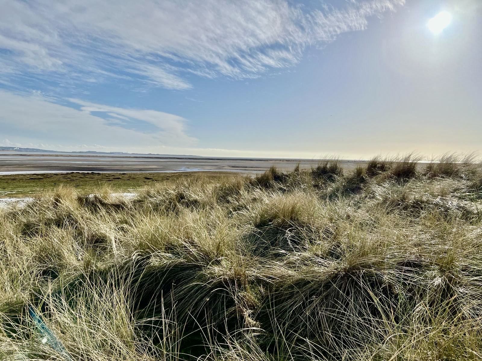 #MySundaySnapshot - Spring Feeling 06/52 (2024)