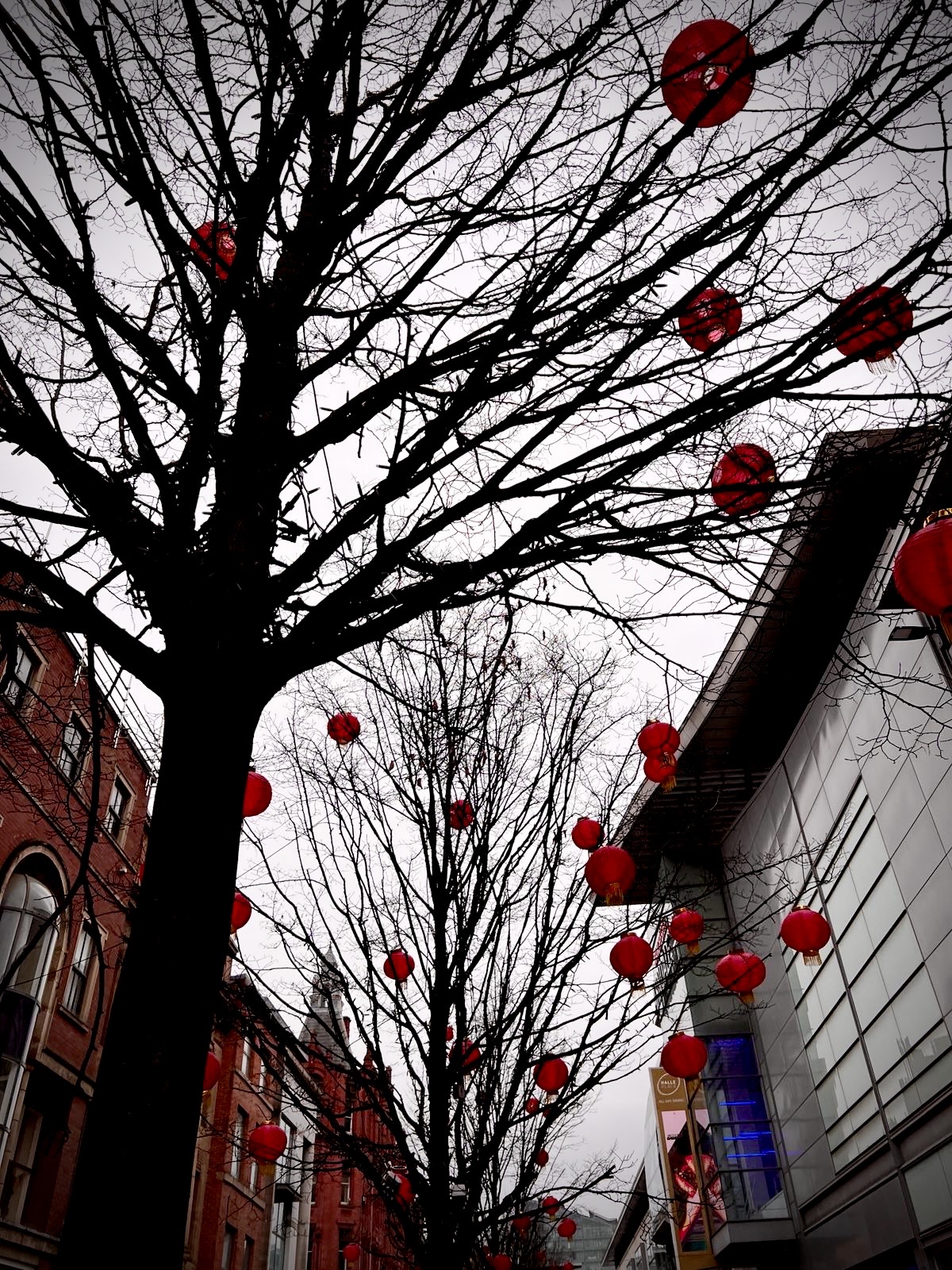 #MySundaySnapshot - The Year of the Dragon 07/52 (2024)