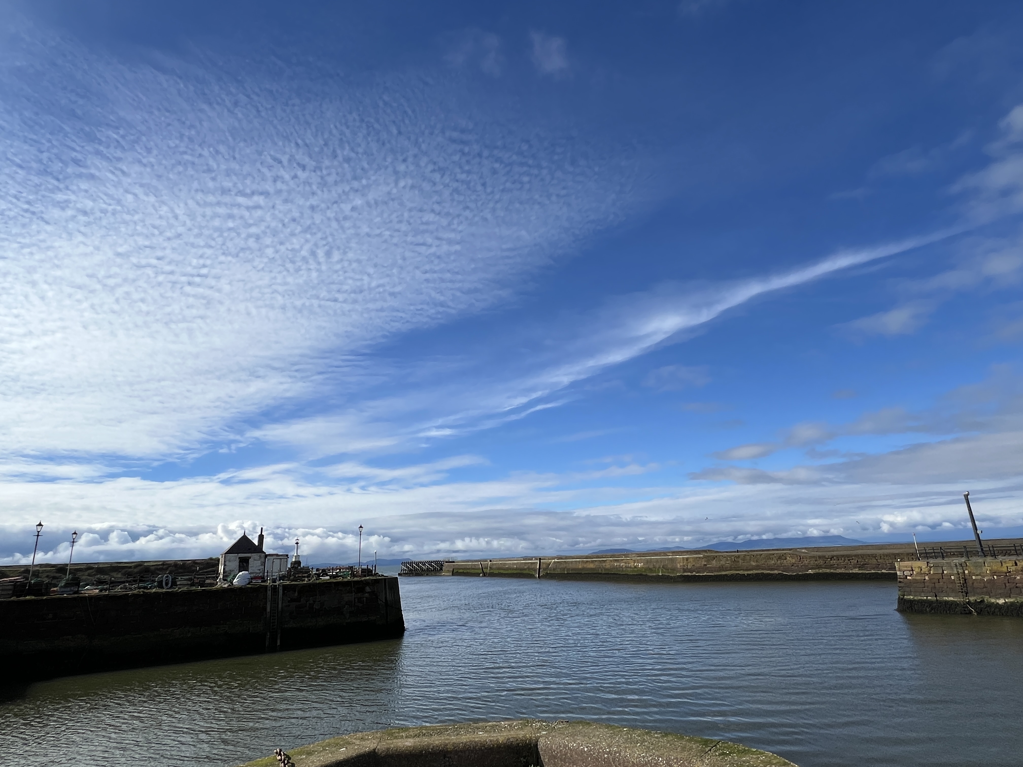 #MySundaySnapshot - Blue 15/52 (2024)