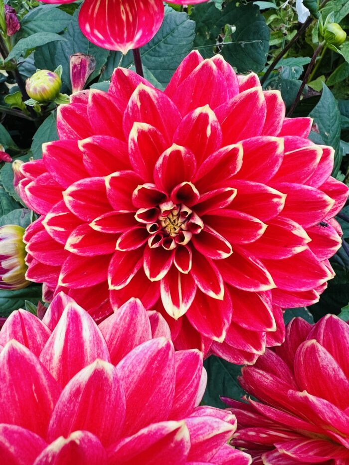 #MySundaySnapshot - All Change 29/52 (2024)