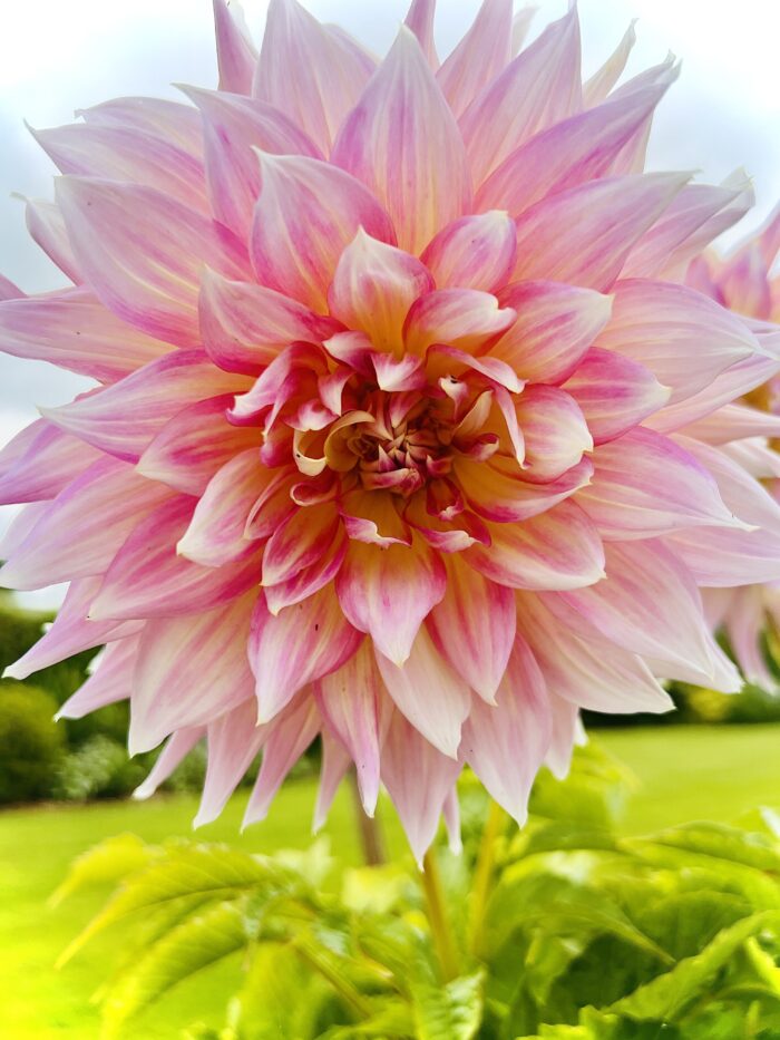 #MySundaySnapshot - Fresh 30/52 (2024)