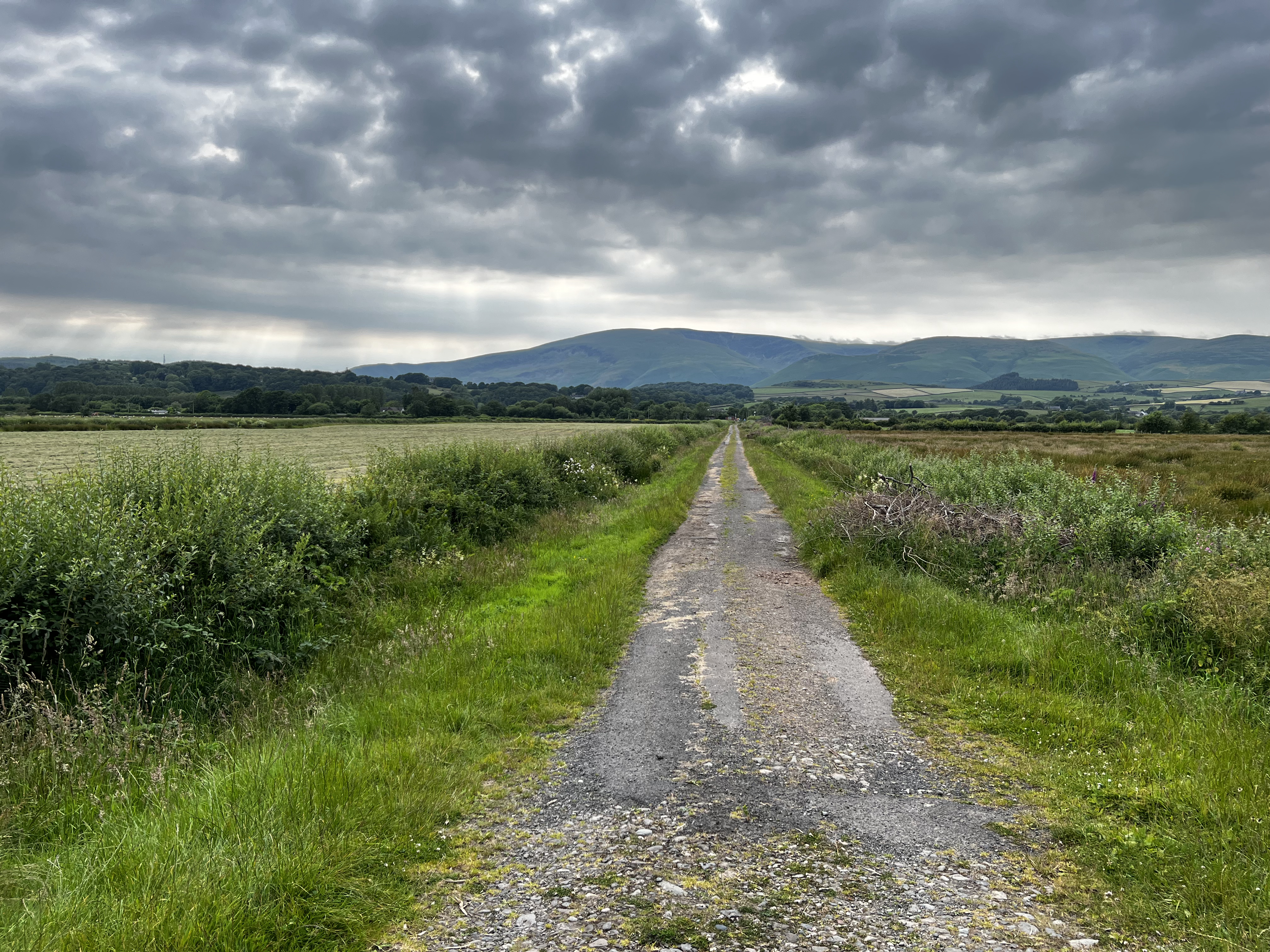 #MySundaySnapshot - Moving Forward 27/52 (2024)