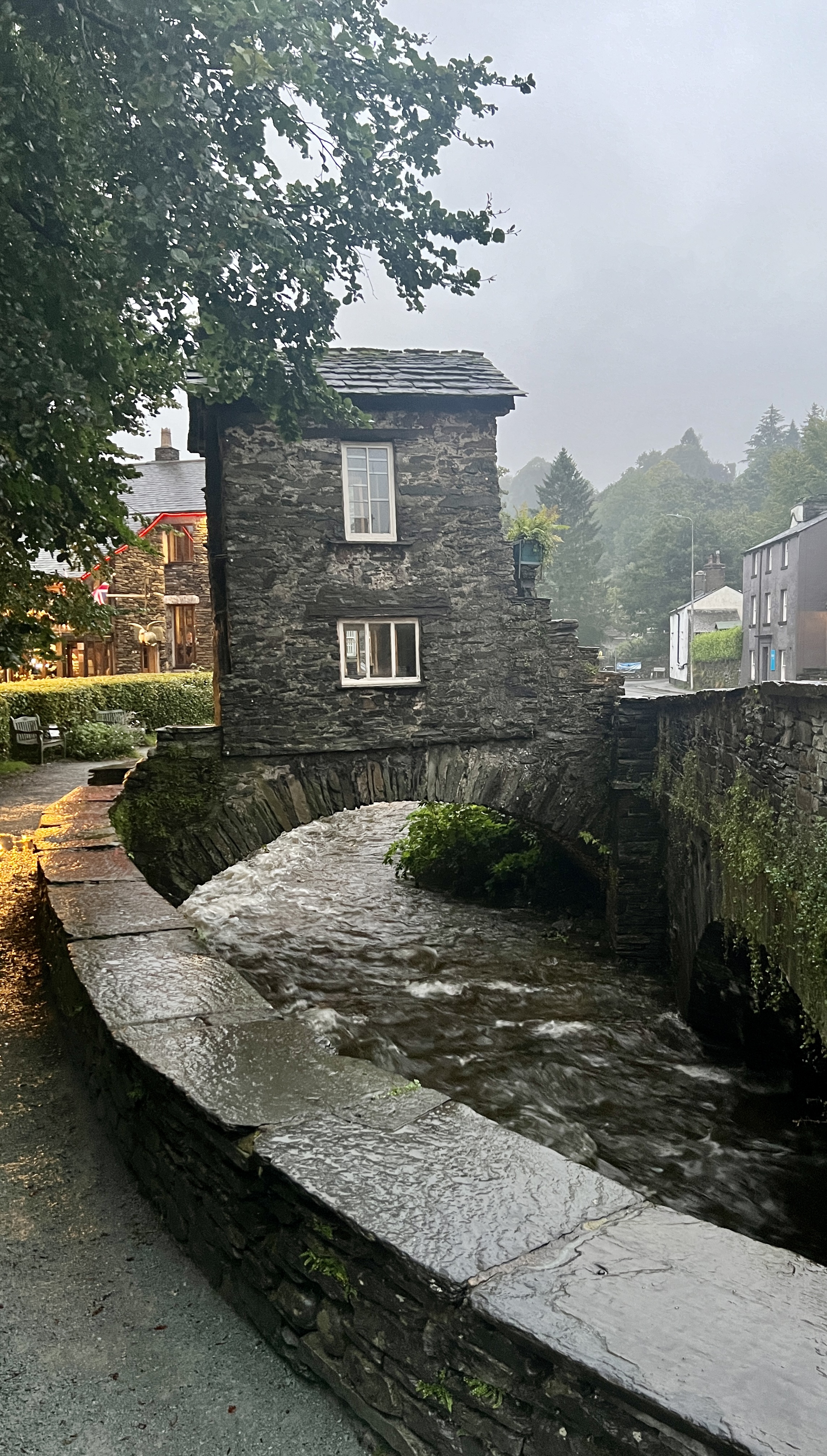 #MySundaySnapshot - A Scenic Surprise 35/52 (2024)