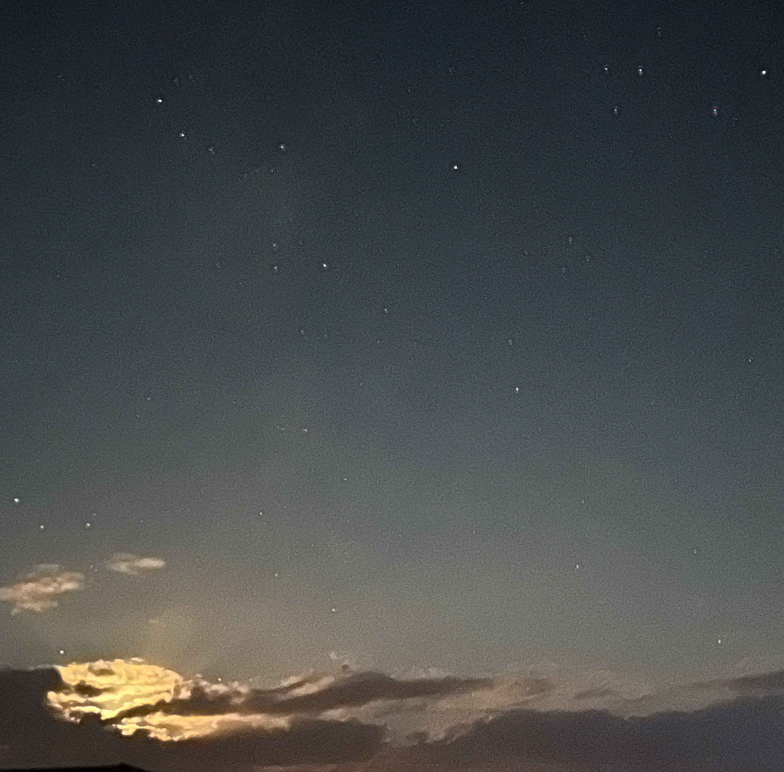 #MySundaySnapshot - Holding Out Hope 37/52 (2024)