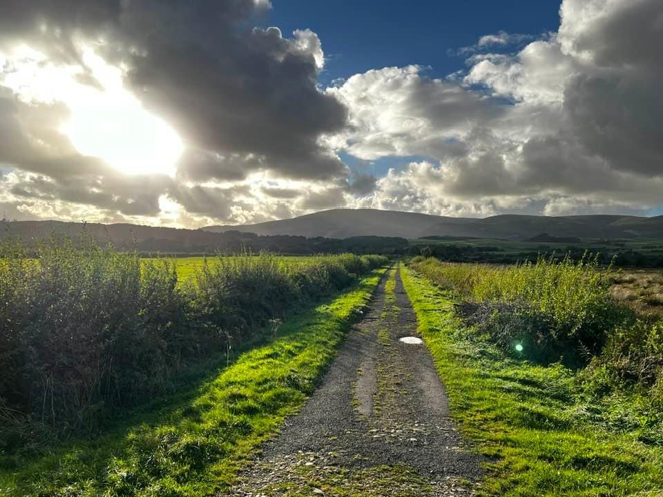 #MySundaySnapshot - Musical Meandering 38/52 (2024)