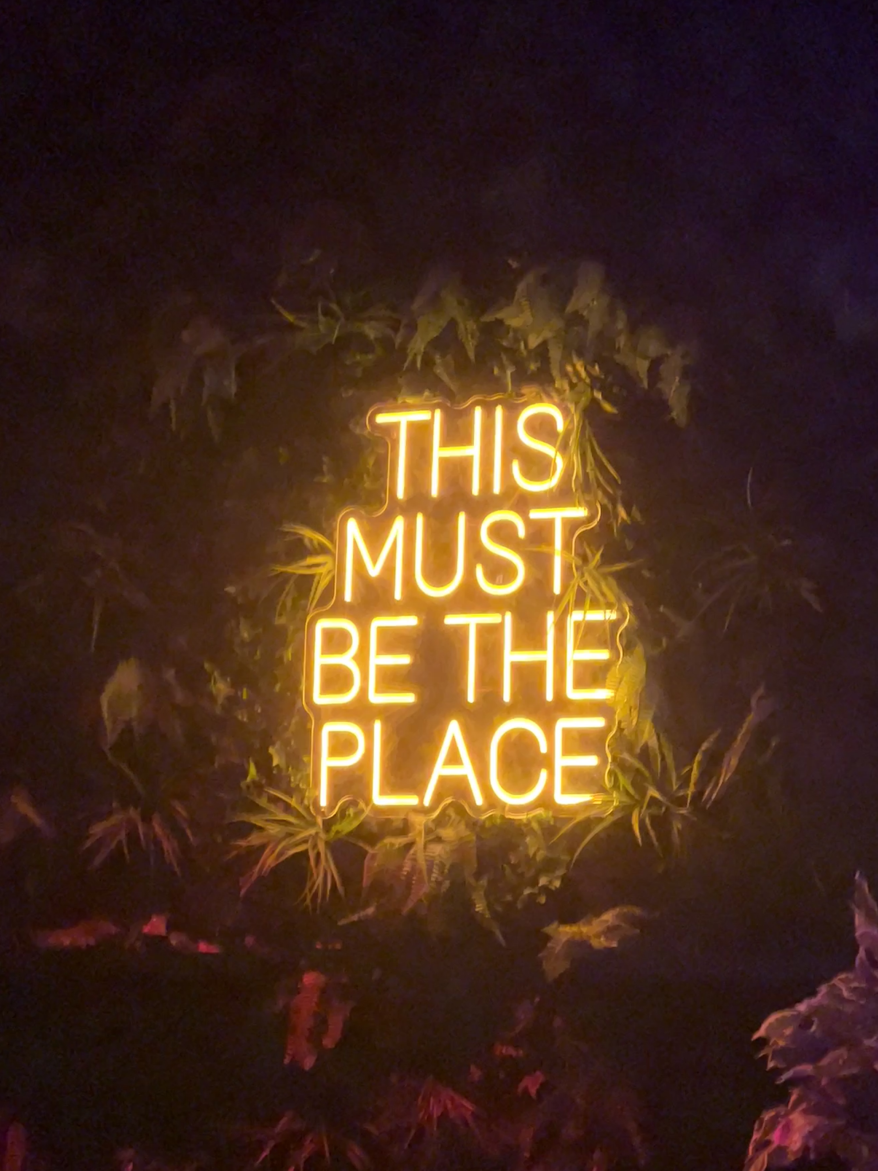 #MySundaySnapshot - Out Out 40/52 (2024)