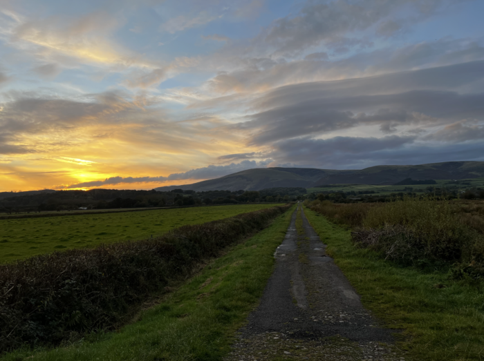 #MySundaySnapshot - Weekly Walks 43/52 (2024)