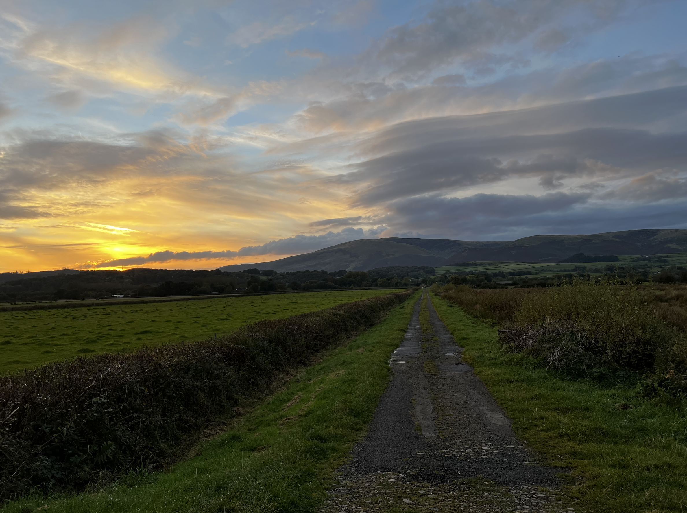 #MySundaySnapshot - Weekly Walks 43/52 (2024)