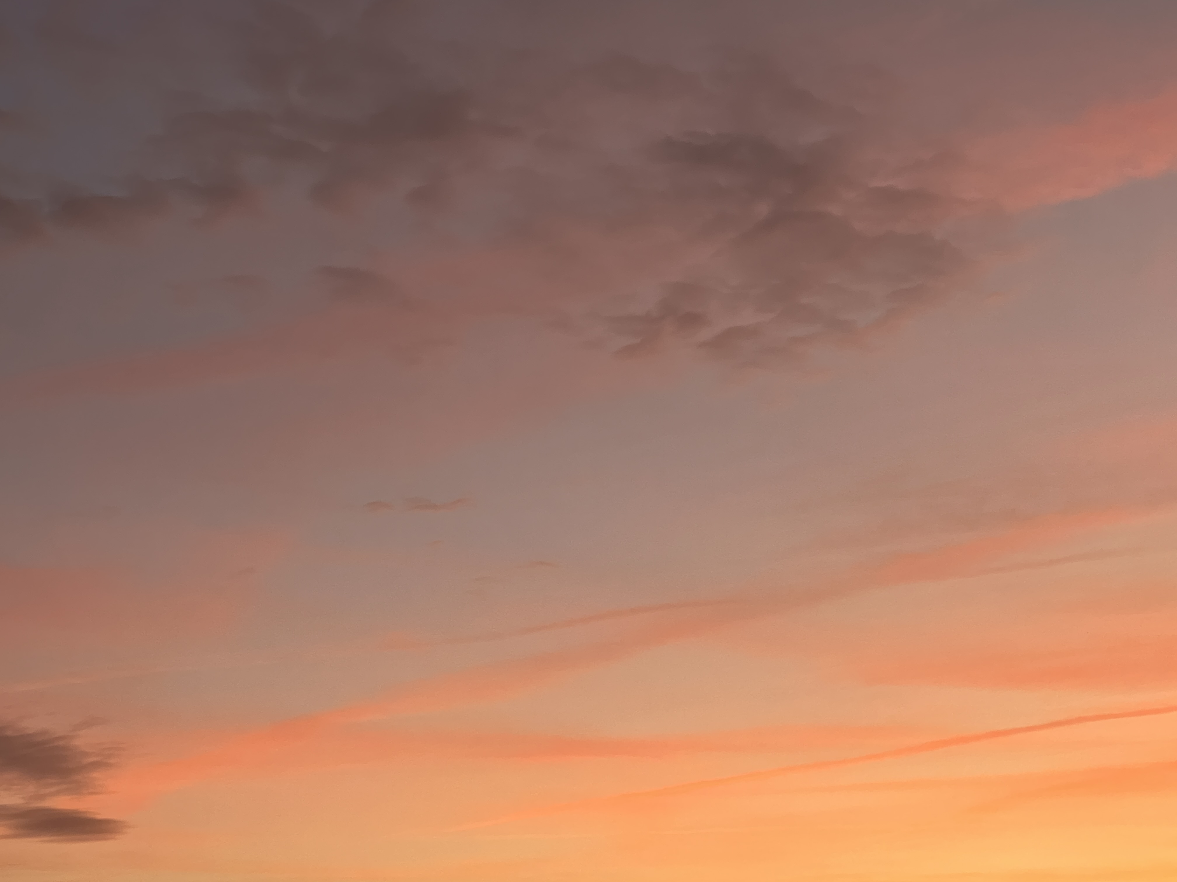 #MySundaySnapshot - Winter Sunset 46/52 (2024)