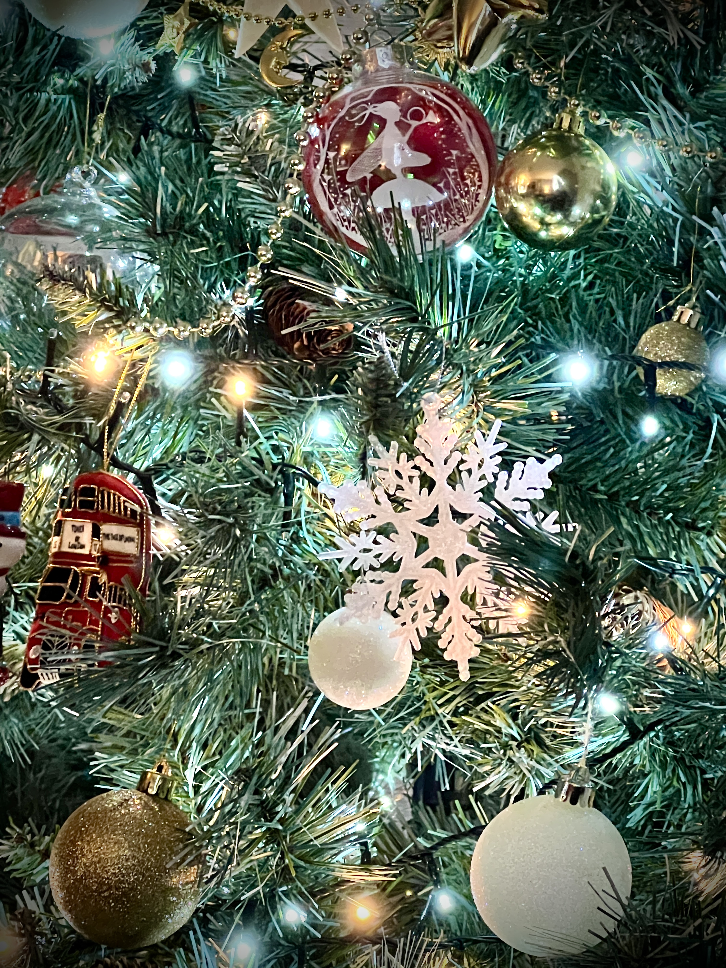 #MySundaySnapshot - Christmas Cracking 48/52 (2024)