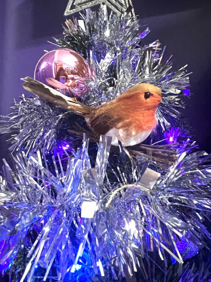 #MySundaySnapshot - Rocky Robin 49/52 (2024)