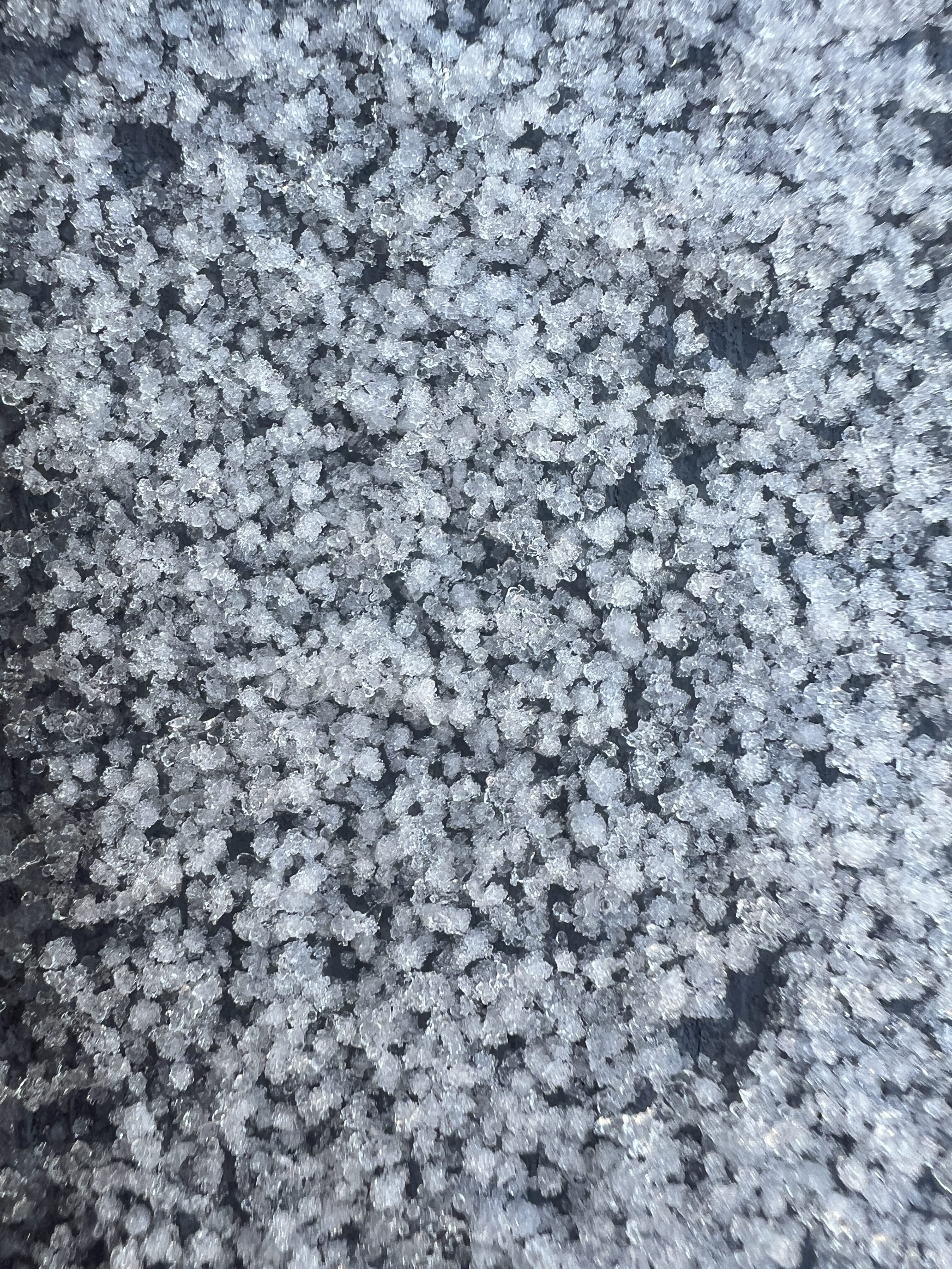 #MySundaySnapshot – Ice Ice Maybe 02/52 2025