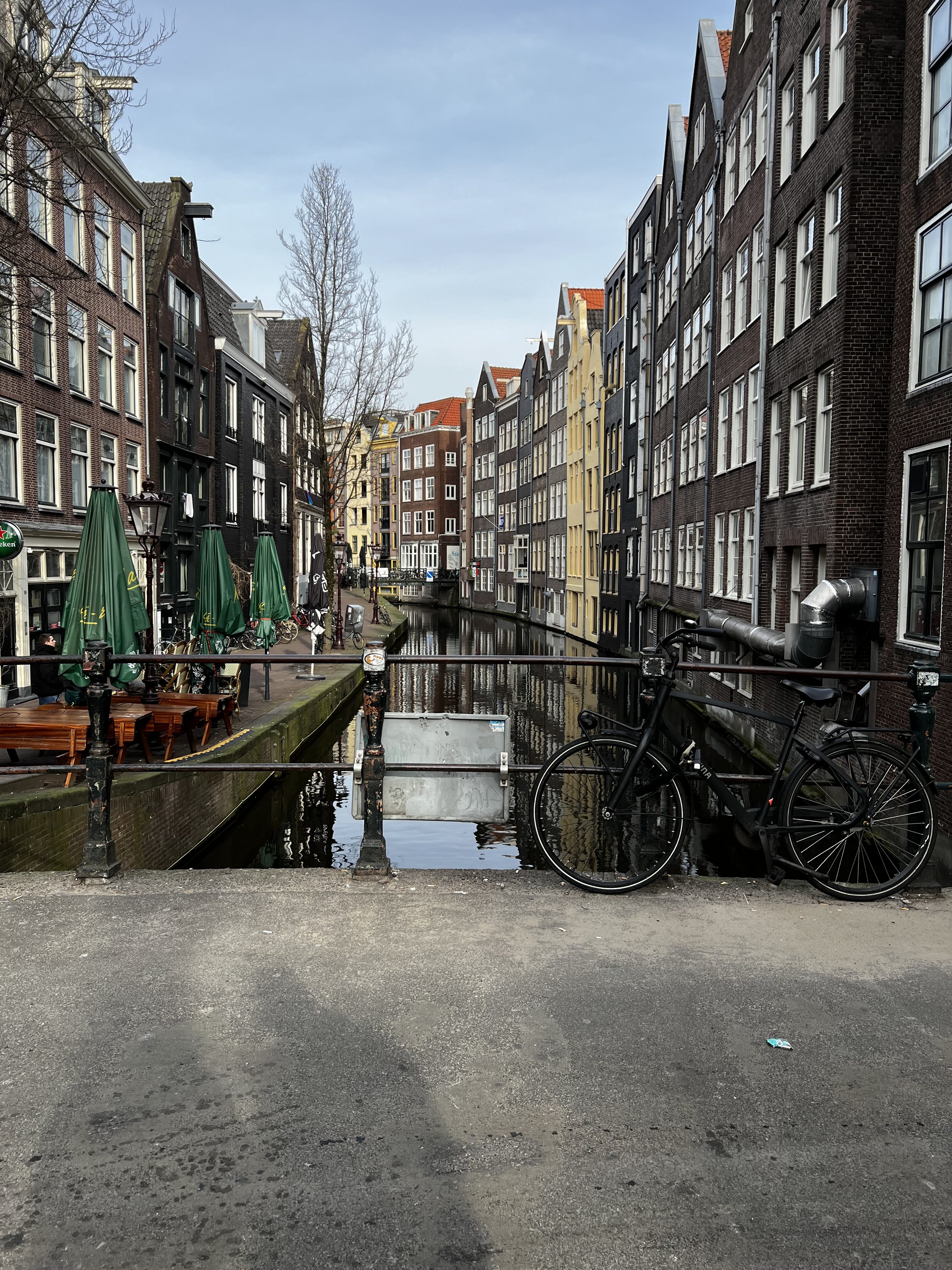 #MySundaySnapshot - Memory Lane 12/52 (2025)