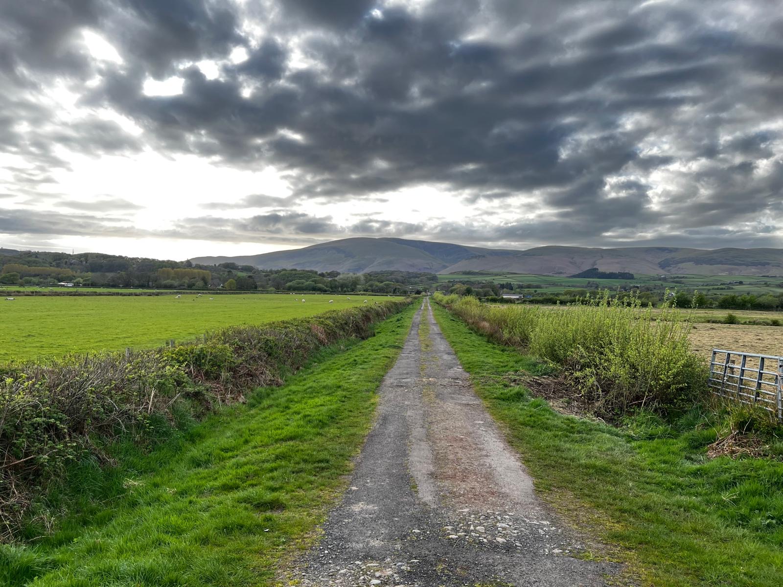 #MySundaySnapshot Weekly Walks 17/52 (2025)