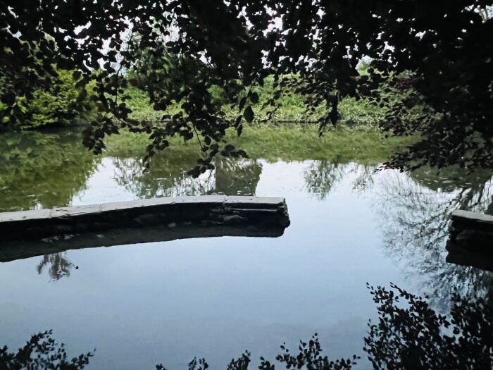 #MySundaySnapshot - Memory Lane 25/52 (2025) #MySundaySnapshot - Memory Lane 25/52 (2025)