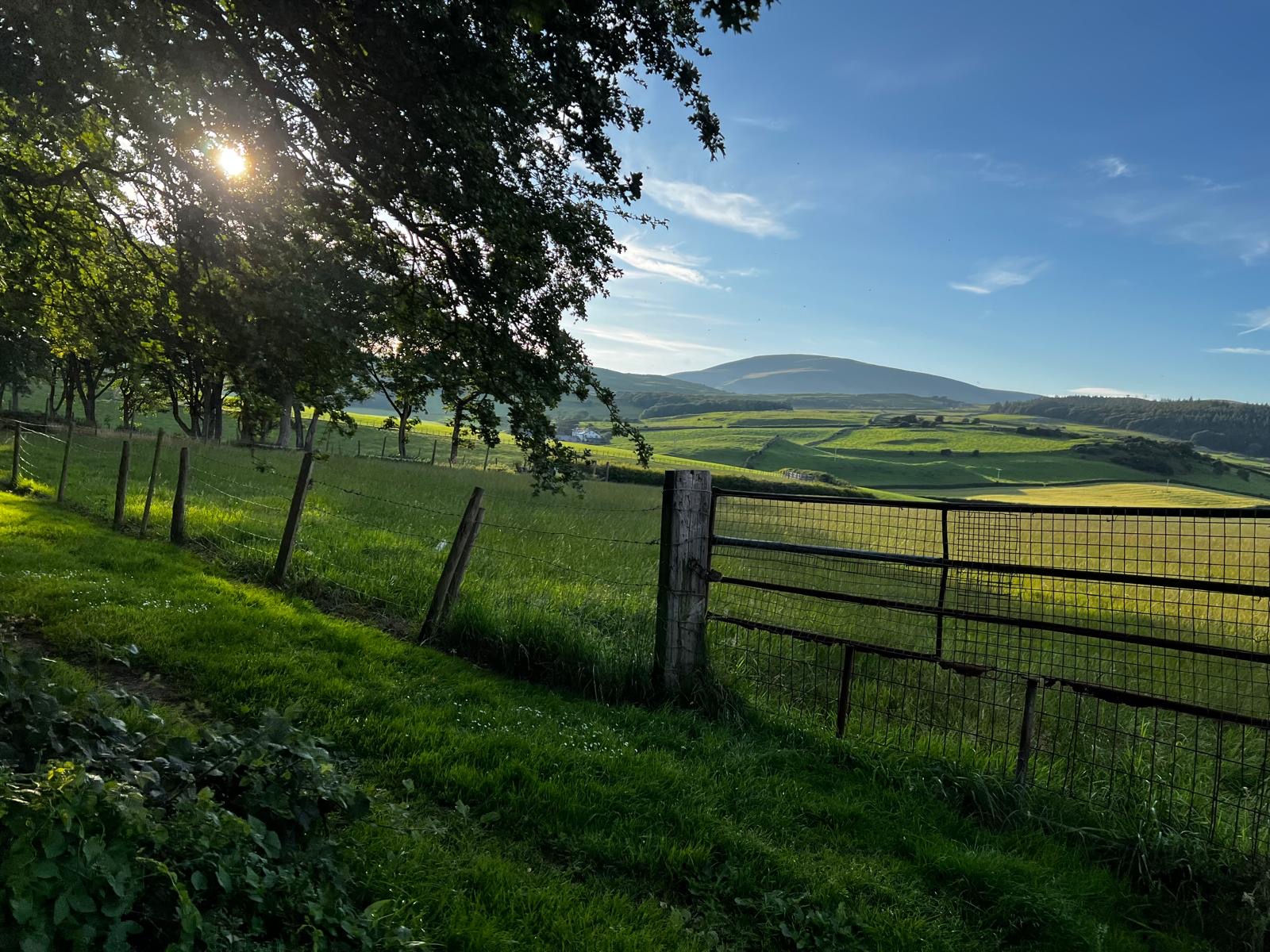 #MySundaySnapshot -Sizzling Summer 28/52 (2025)