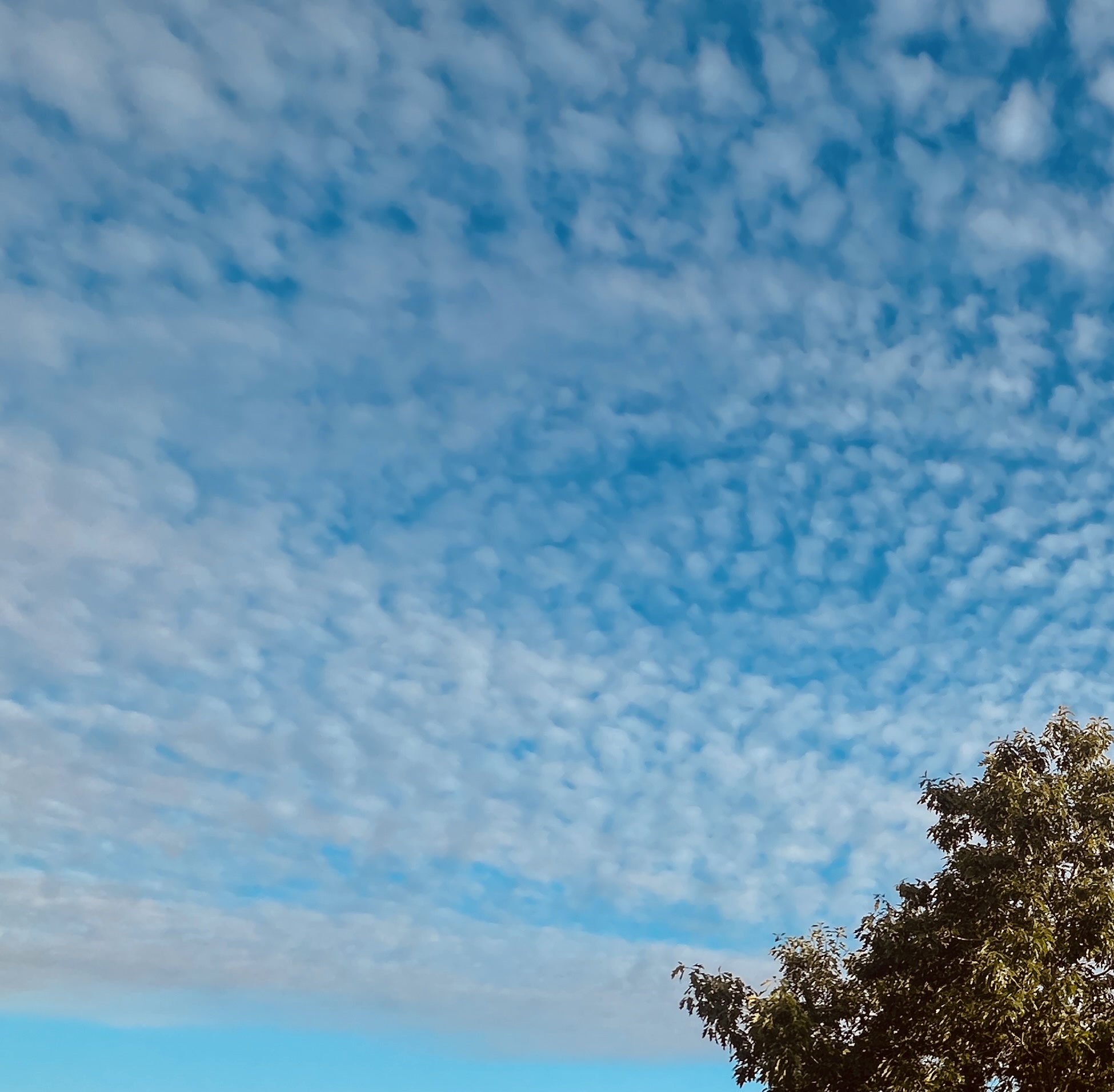 #MySundaySnapshot - Take To The Sky 30/52 (2025)