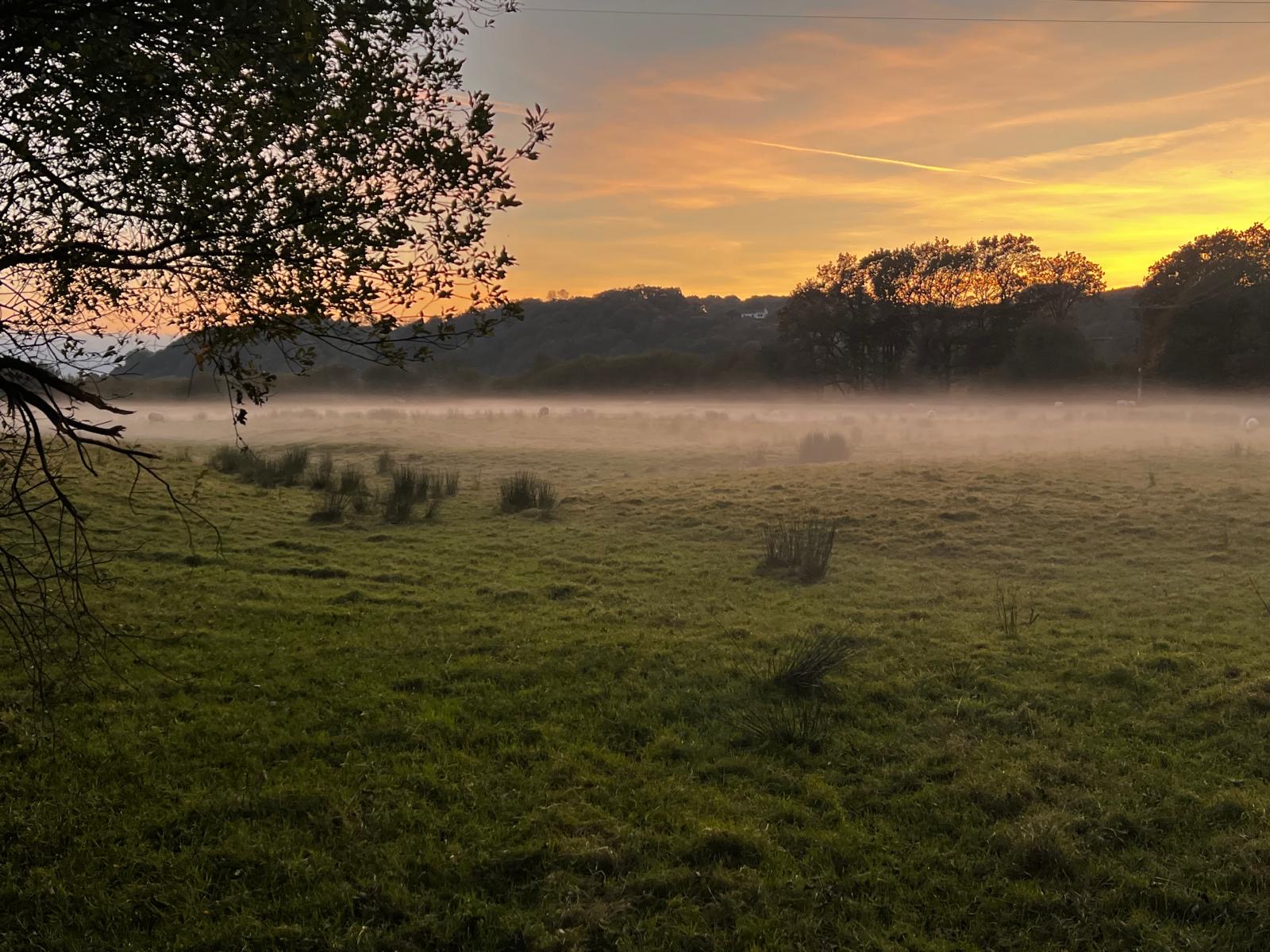 #MySundaySnapshot - October Evenings 42/52 (2025)