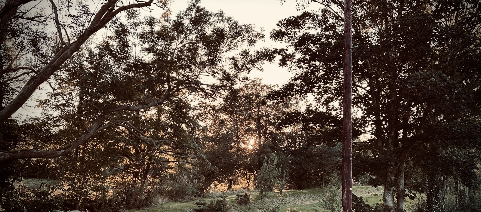 #MySundaySnapshot - Slouching Around In Spooky Season 41/52 (2025)