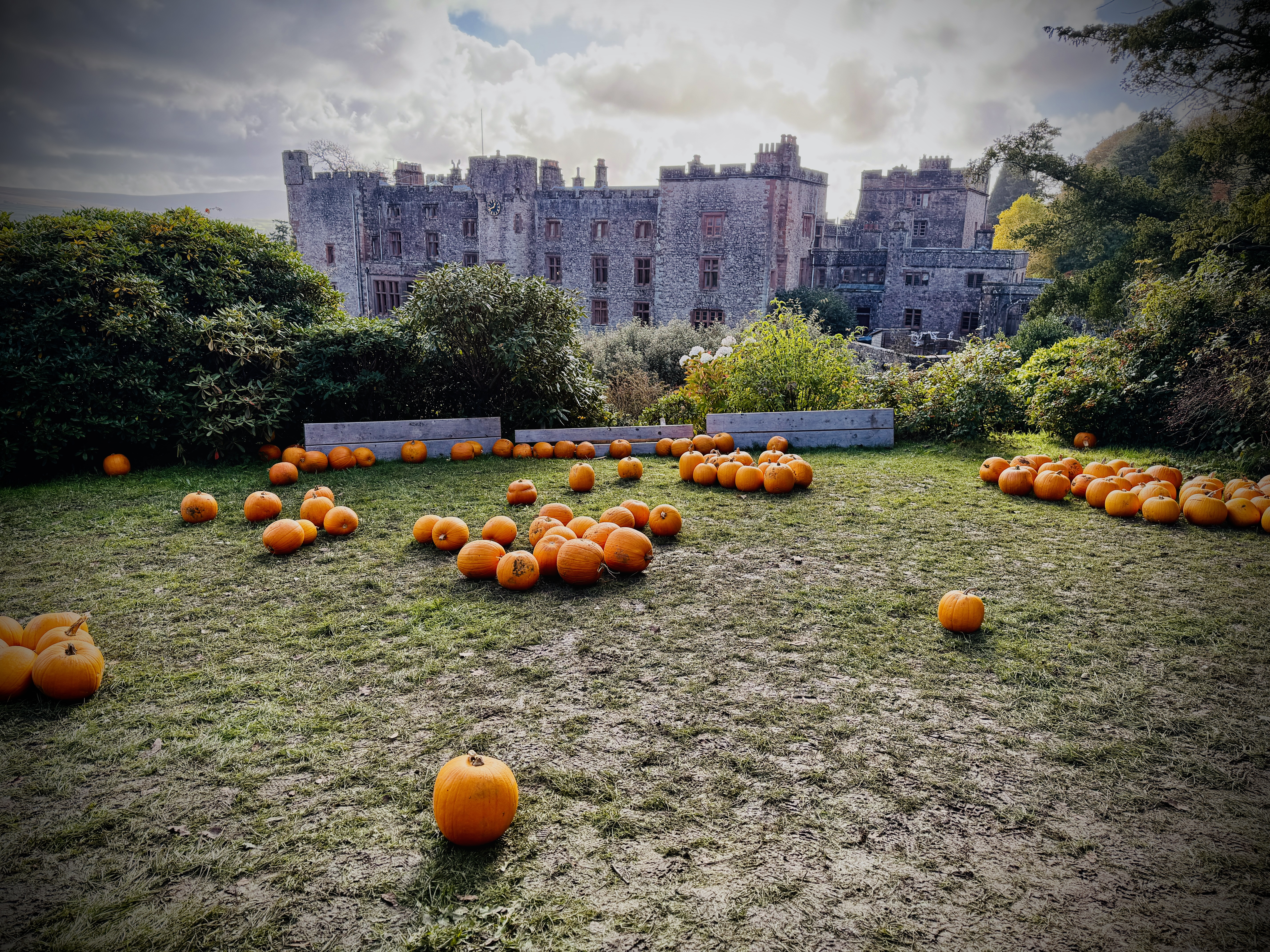 #MySundaySnapshot - Au Revoir October 44/52 (2025)